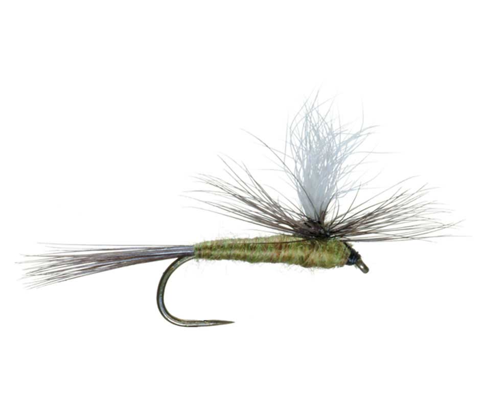 Barbless Parachute Blue Winged Olive BWO Dry Fly - 12 Flies Size 20