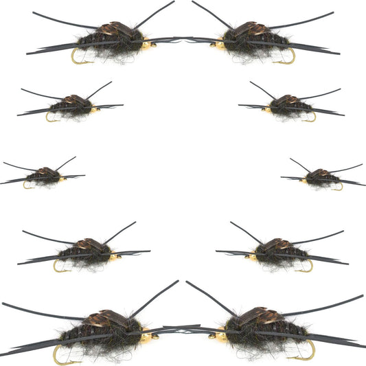 Basics Collection - Kaufmann's Tungsten Bead Black Stonefly Nymph Assortment 10 Bead Head Rubber Legs Wet Flies - 2 Each Hook Sizes 4, 6, 8, 10, and 12
