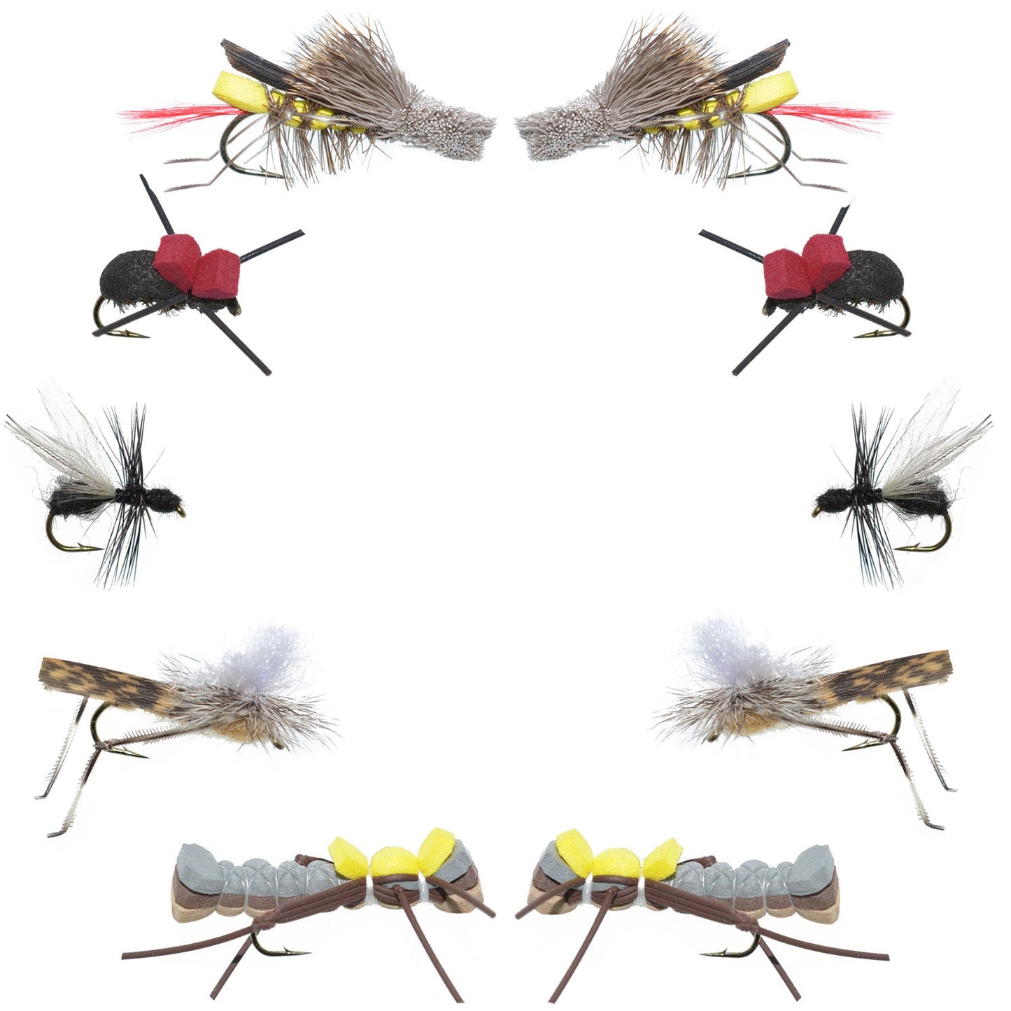 Basics Collection - Terrestrials Dry Fly Assortment - 10 Dry Fishing Flies - Hopper, Ant and Beetle Fishing Fly Patterns - Hook Sizes 10, 12 and 14