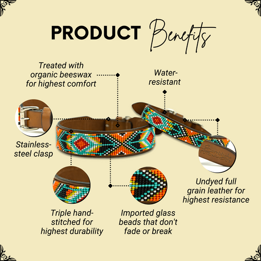 Biarritz Sambboho dog collar