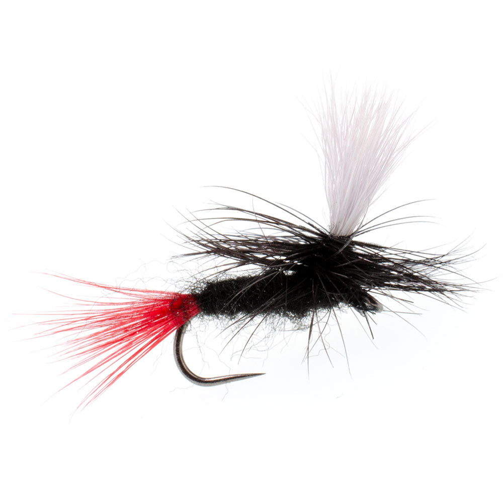 Barbless Parachute Black Gnat Red Tail Dry Fly - 12 Flies - Size 16
