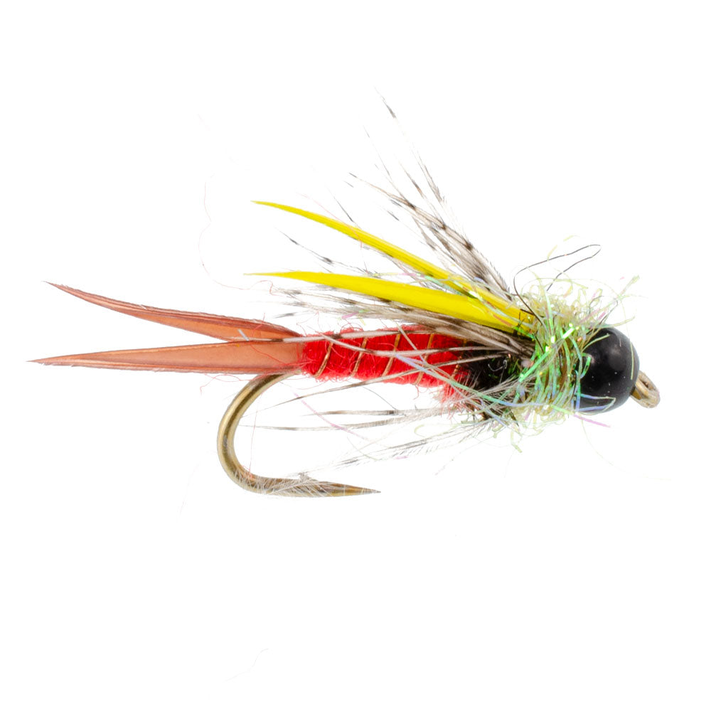 3 Pack Tungsten Bead Head Nicks Prince Special Nymph Fishing Flies - Hook Size 14