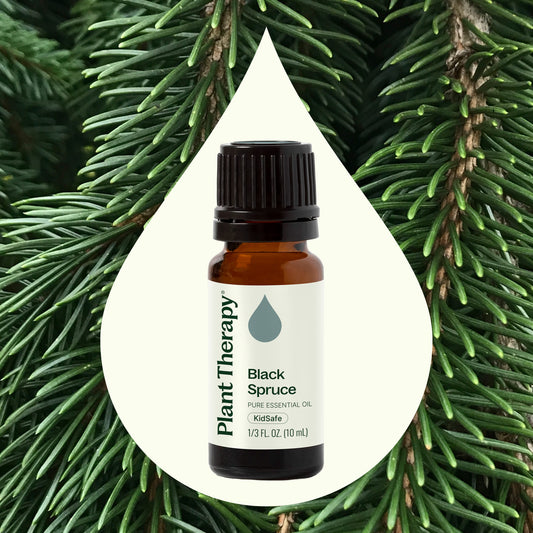 Black Spruce Essential Oil
