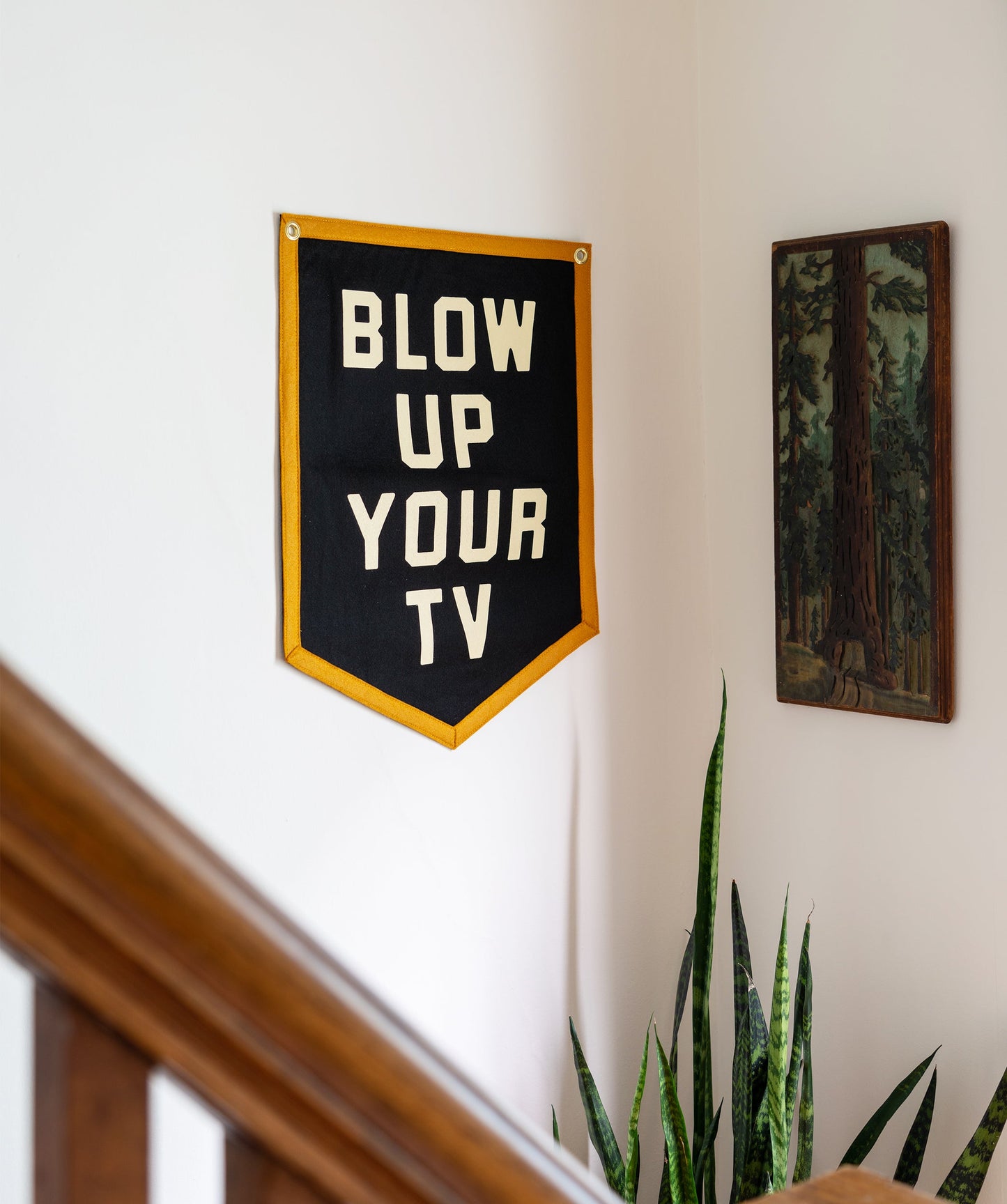 Blow Up Your TV Camp Flag • John Prine x Oxford Pennant