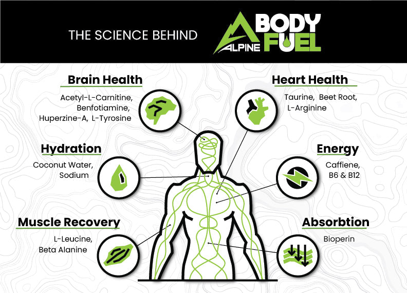 Alpine Body Fuel