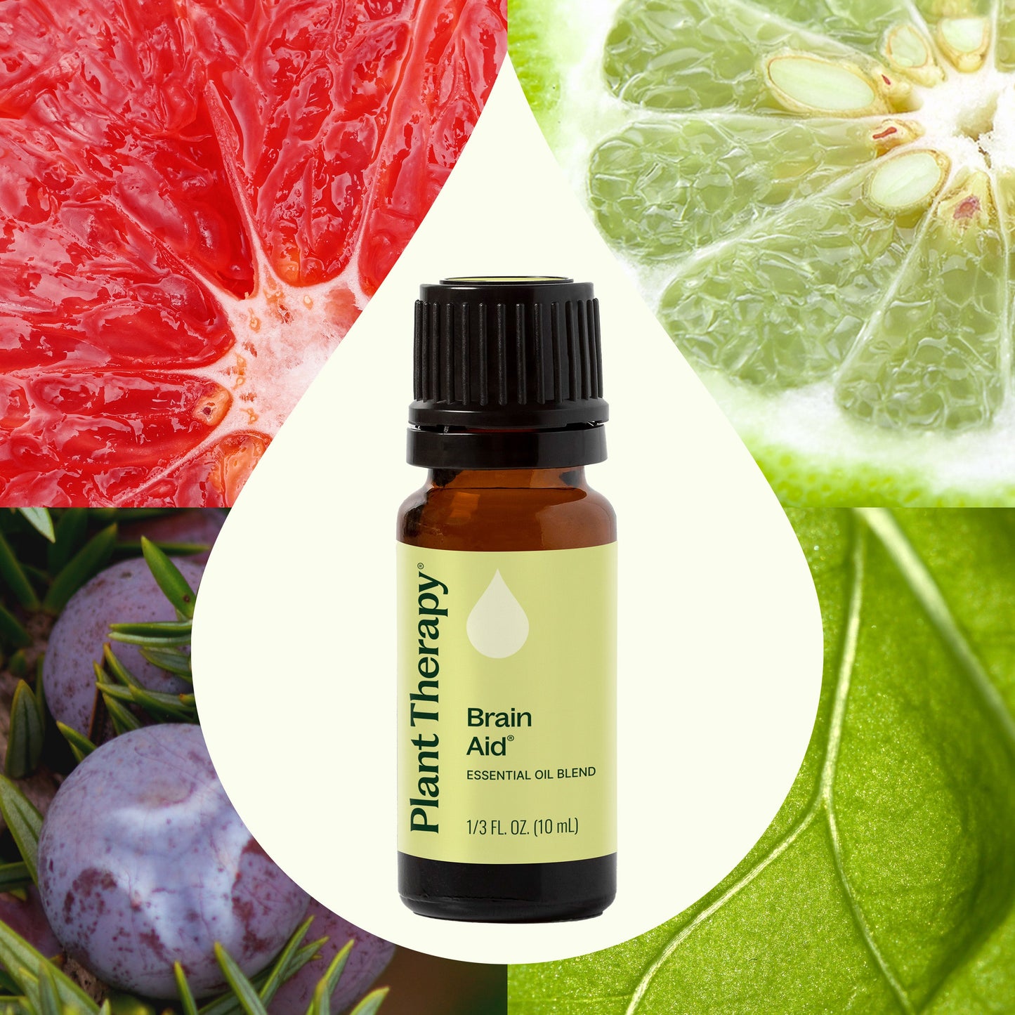Brain Aid Essential Oil Blend