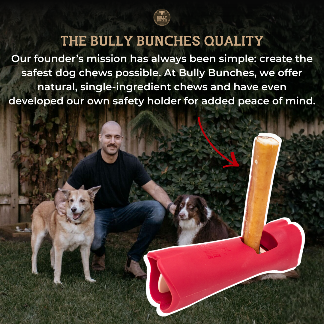 12 Inch Jumbo Bully Stick