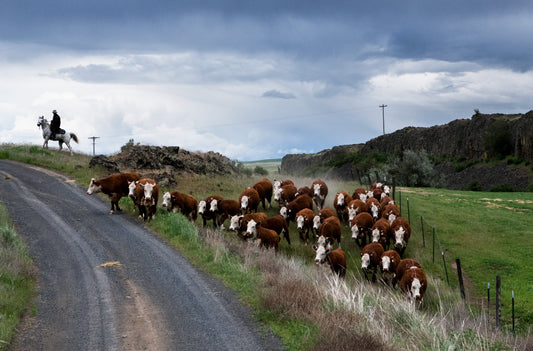 A Year in the Fields: The State of the Washington Farmer