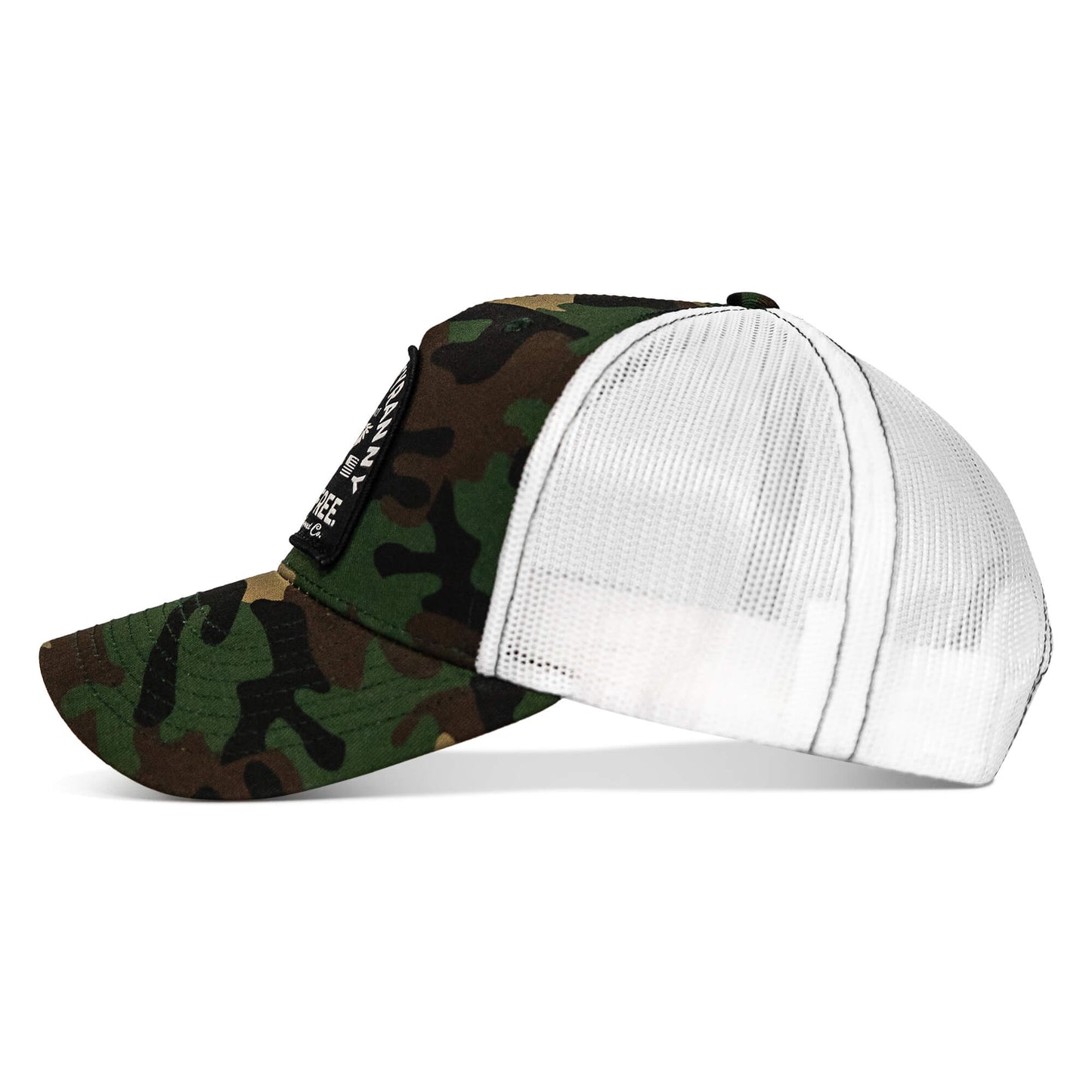 Destroy Tyranny and Die Free Patch Snapback