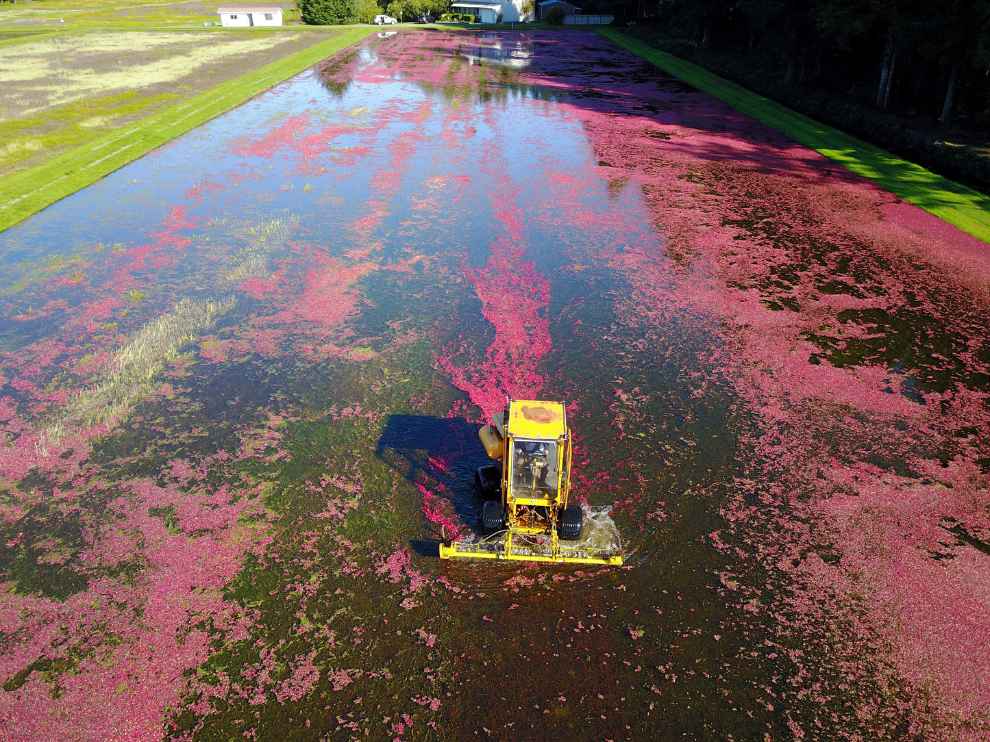 A Year in the Fields: The State of the Washington Farmer