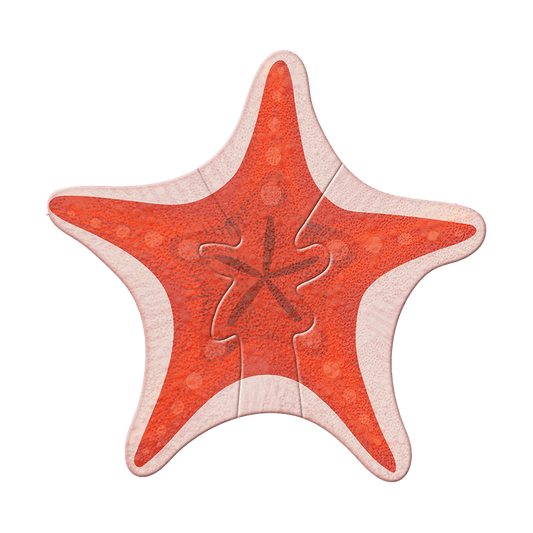 Coastal Starfish - Wood Wall Art