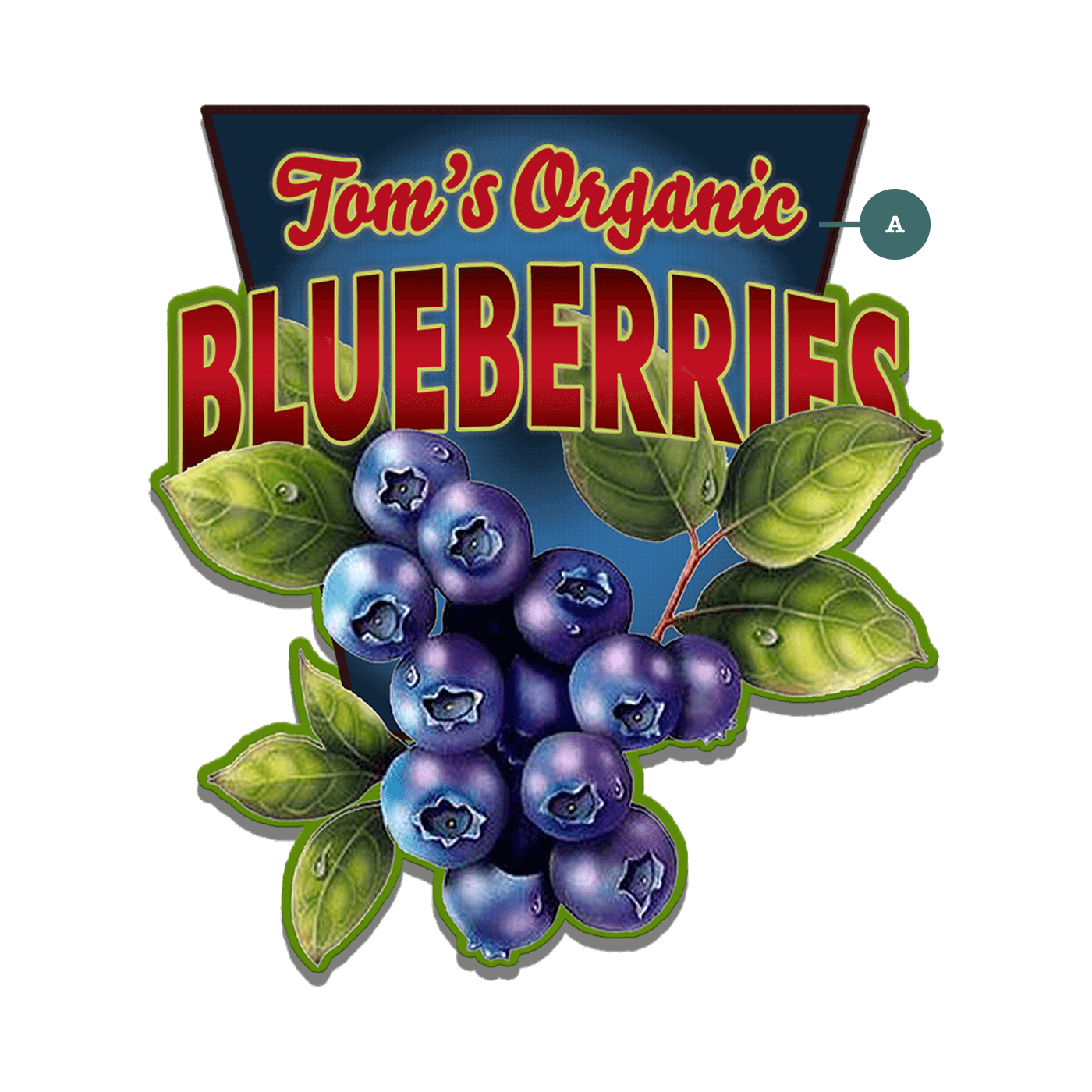 Garden Cutouts: Blueberries - Decorative Plaque