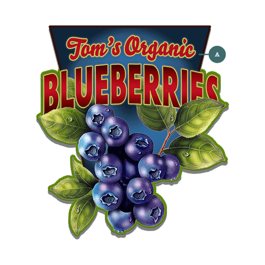 Garden Cutouts: Blueberries - Decorative Plaque