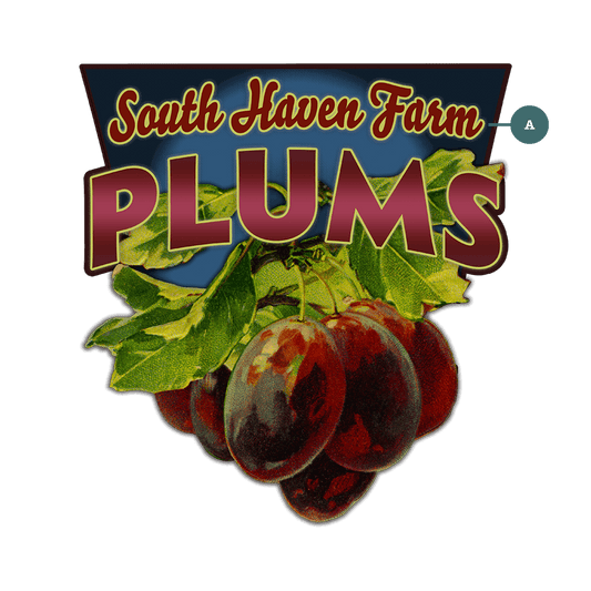 Garden Cutouts: Plums - Decorative Plaque