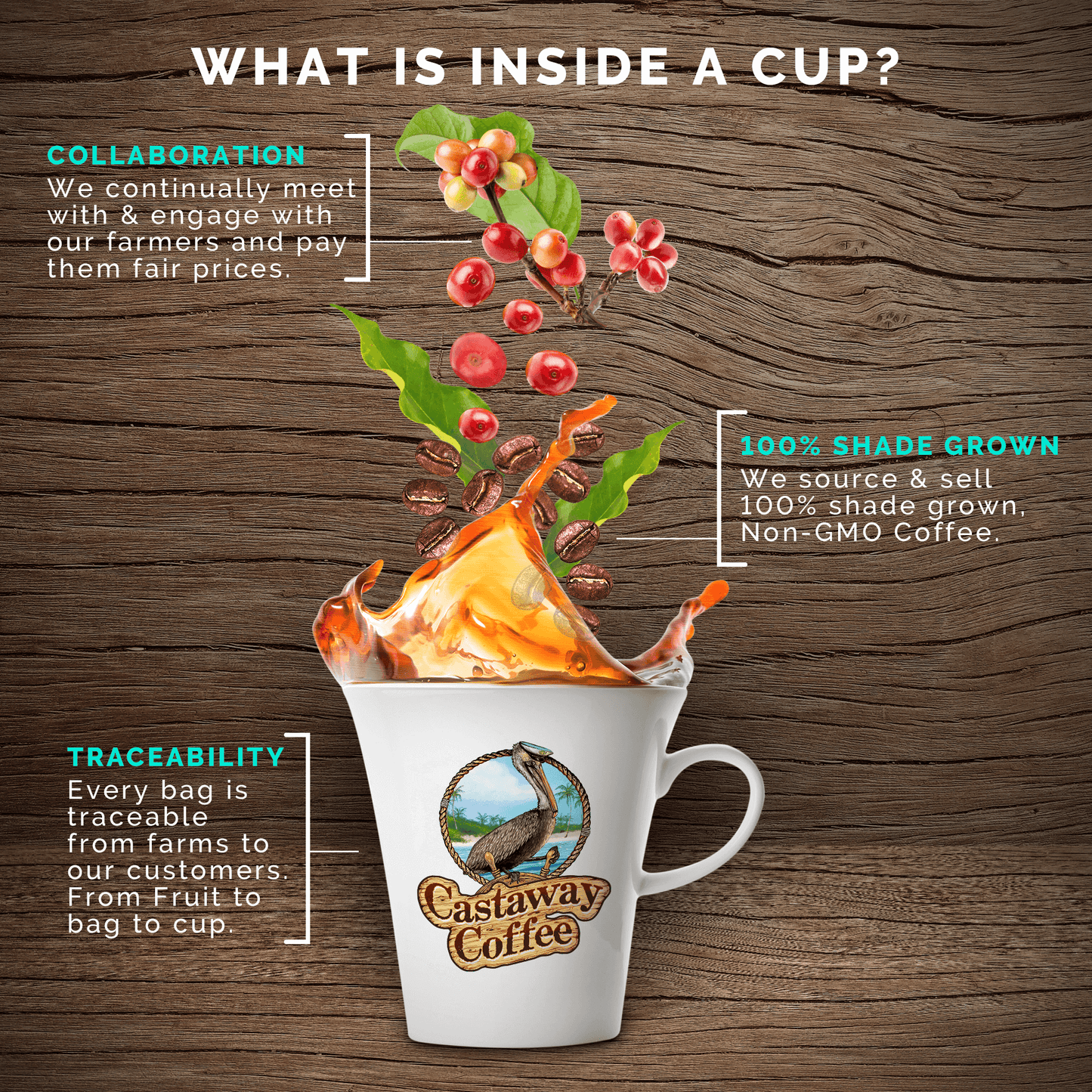 Castaway Coffee B.A.S.S. Kickin' Blend Gift Set