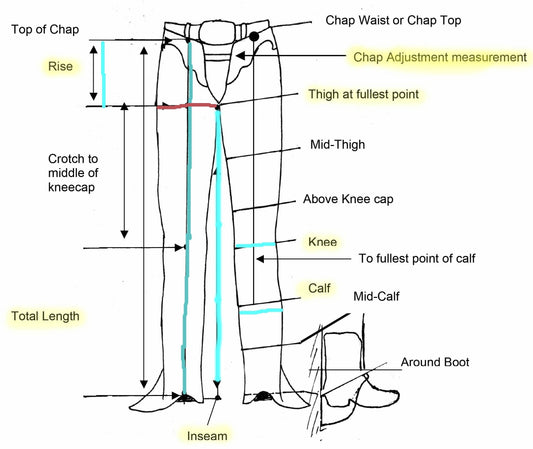 Rodeo Chap Custom with Metallic