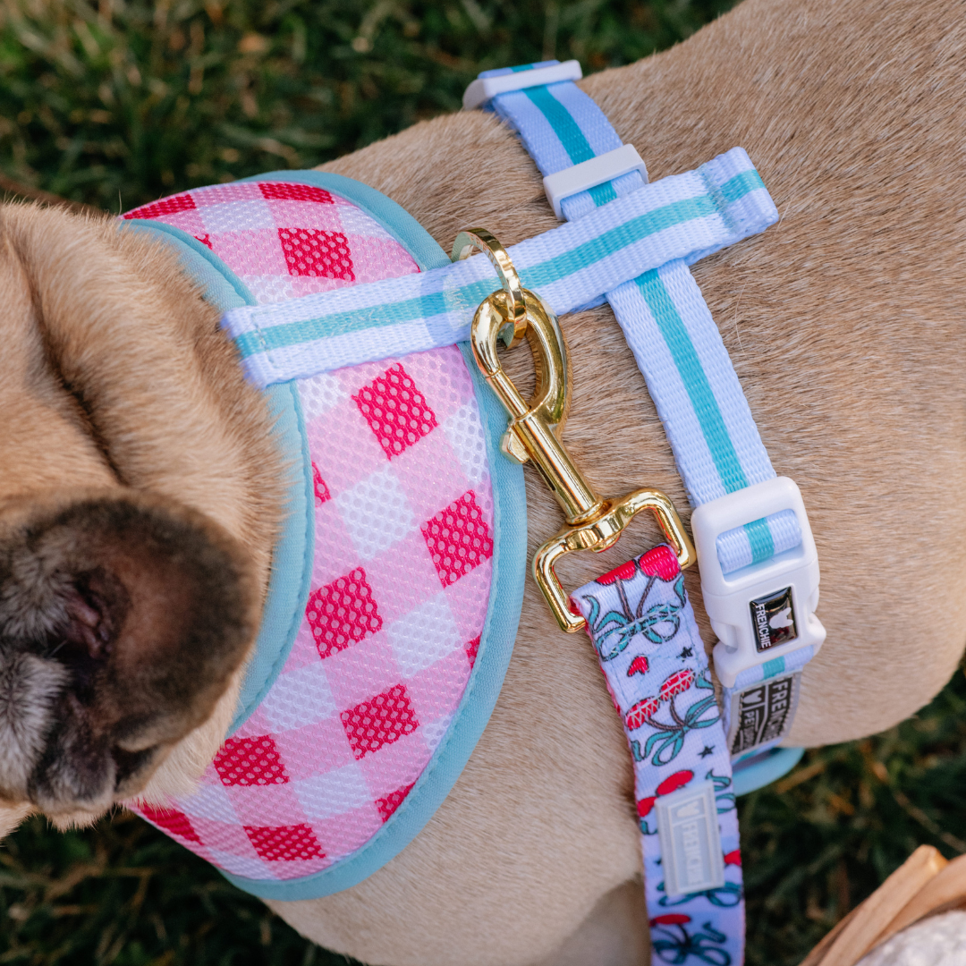 Frenchie Duo Reversible Harness - Cherries Blue