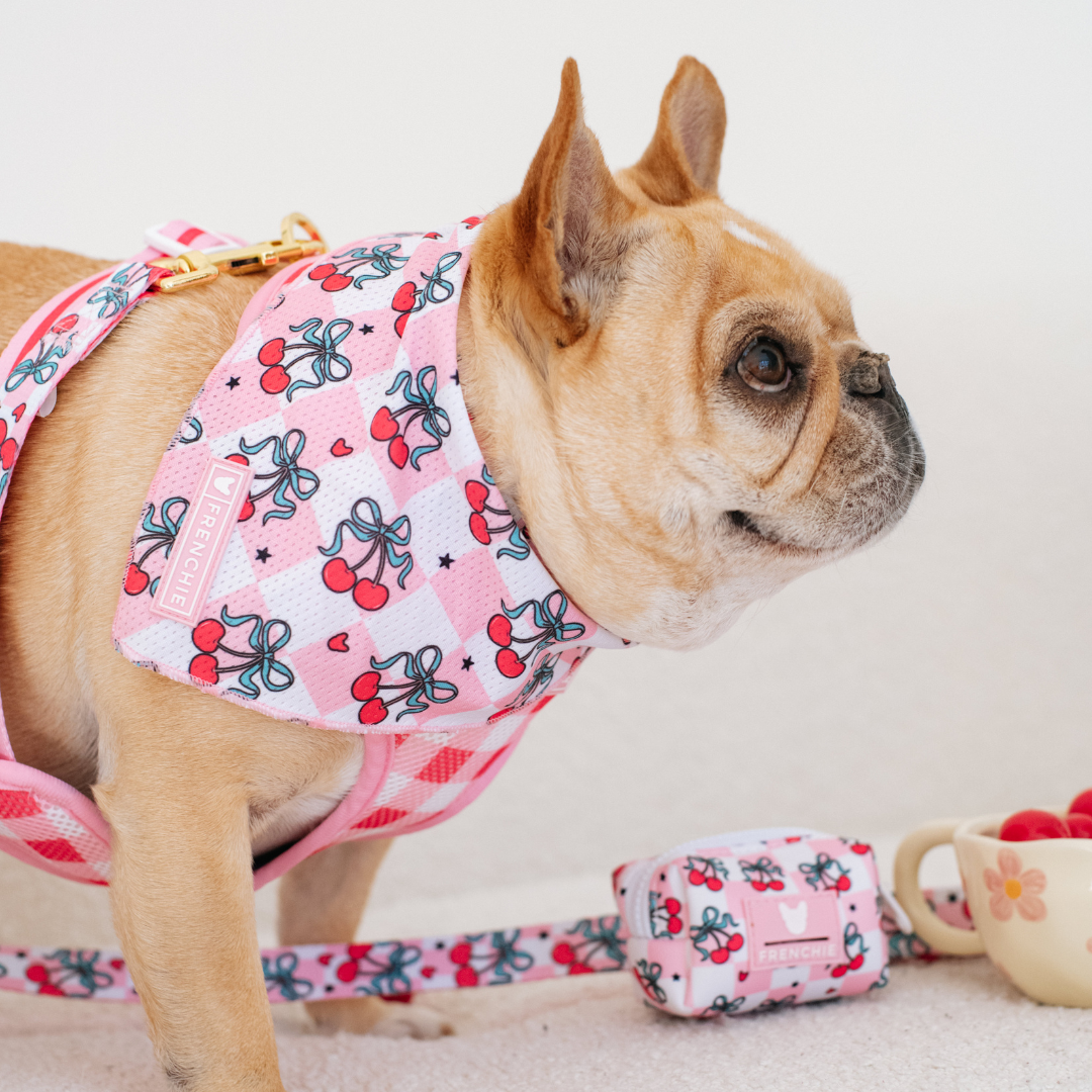 Frenchie Cooling Bandana - Cherries Red