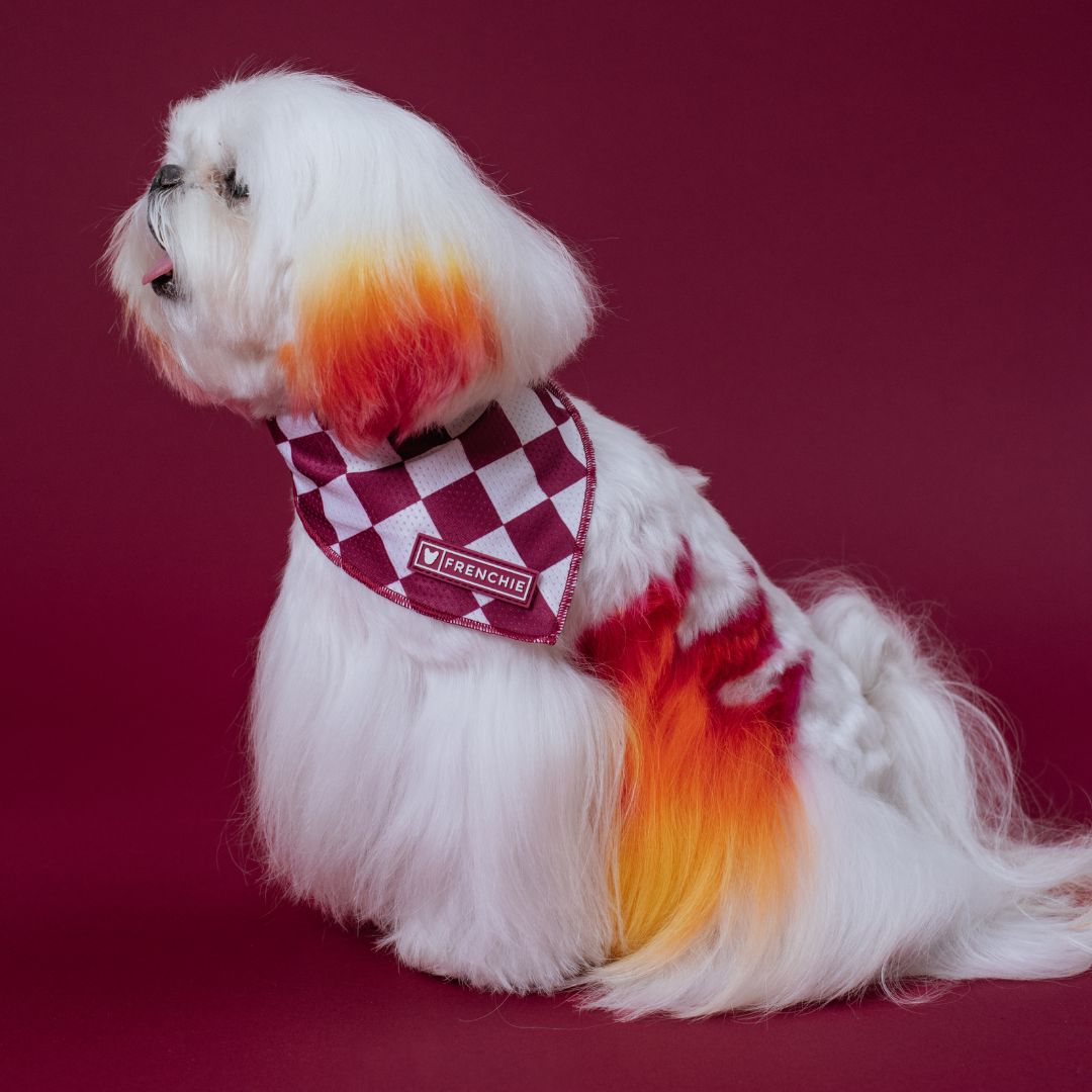 Frenchie Cooling Bandana - Solid Ruby