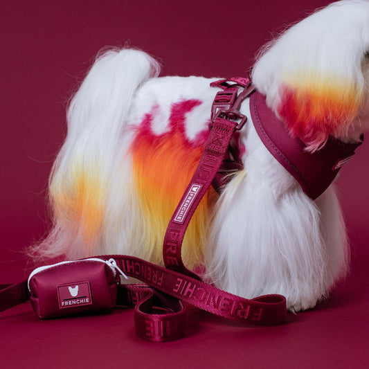 Frenchie Comfort Leash - Solid Ruby