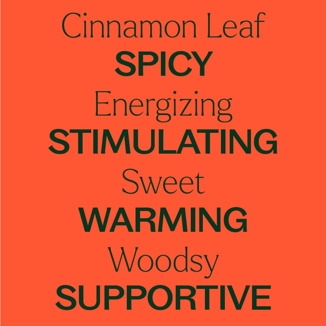 Cinnamon Leaf Essential Oil