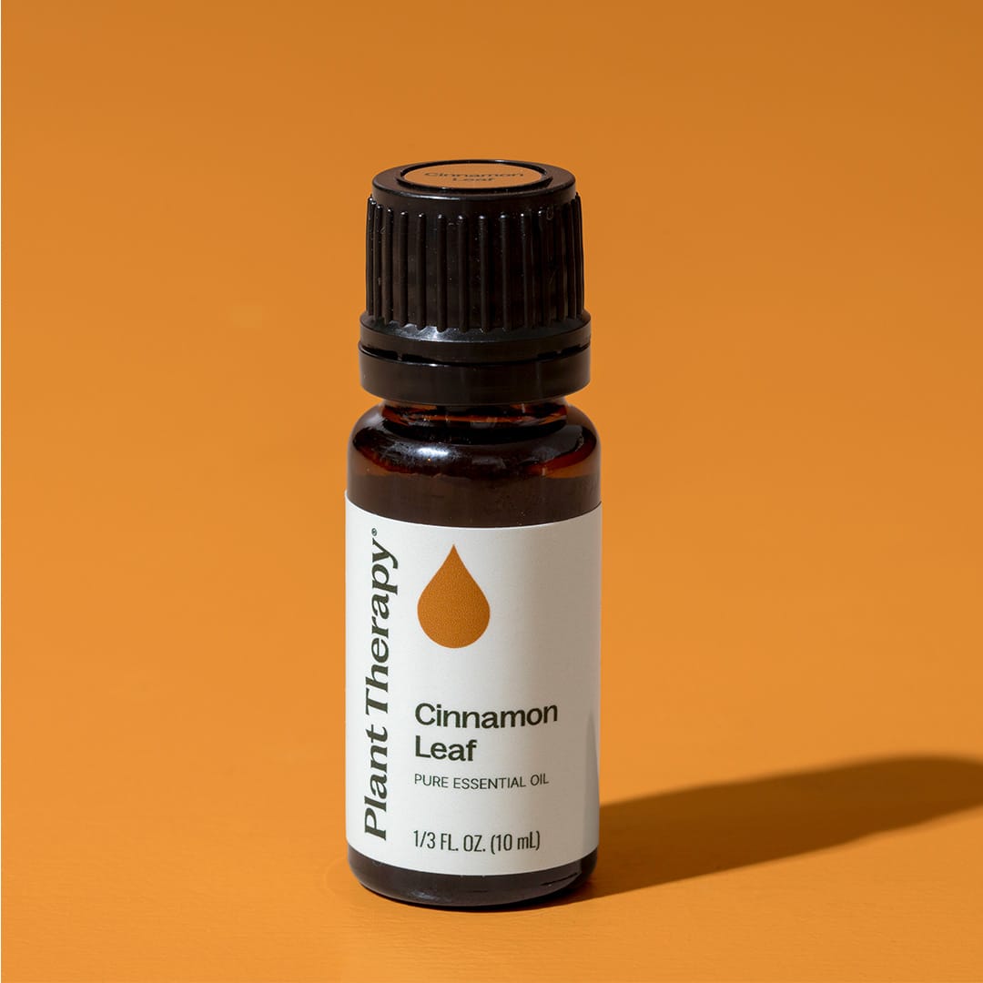 Cinnamon Leaf Essential Oil