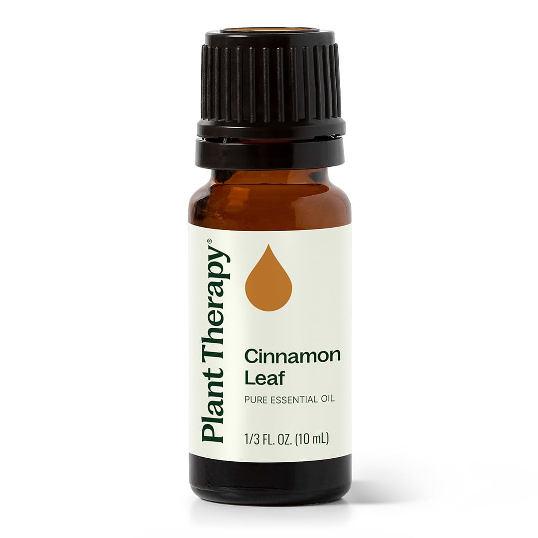 Cinnamon Leaf Essential Oil