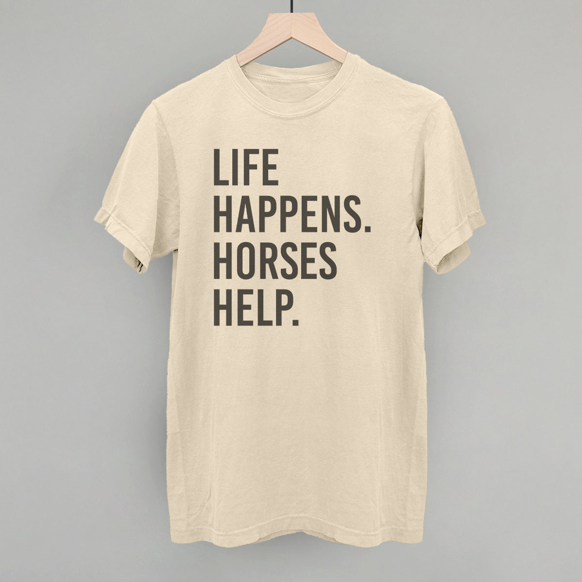 Life Happens Horses Help