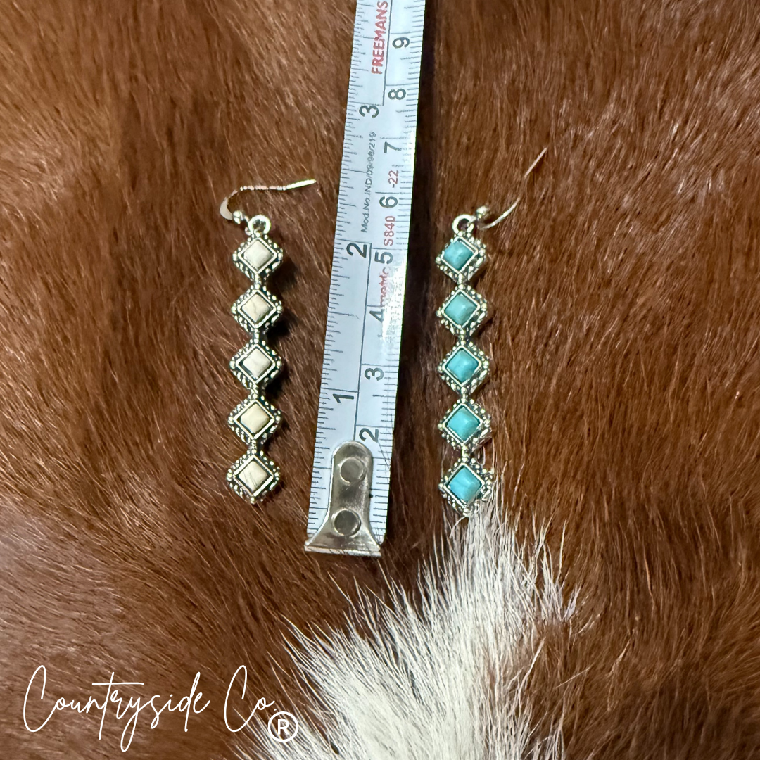 Princess Drop Earrings in Turquoise and White