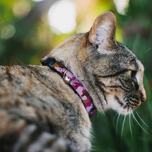 Cat Collar Breakaway - Camo Pink