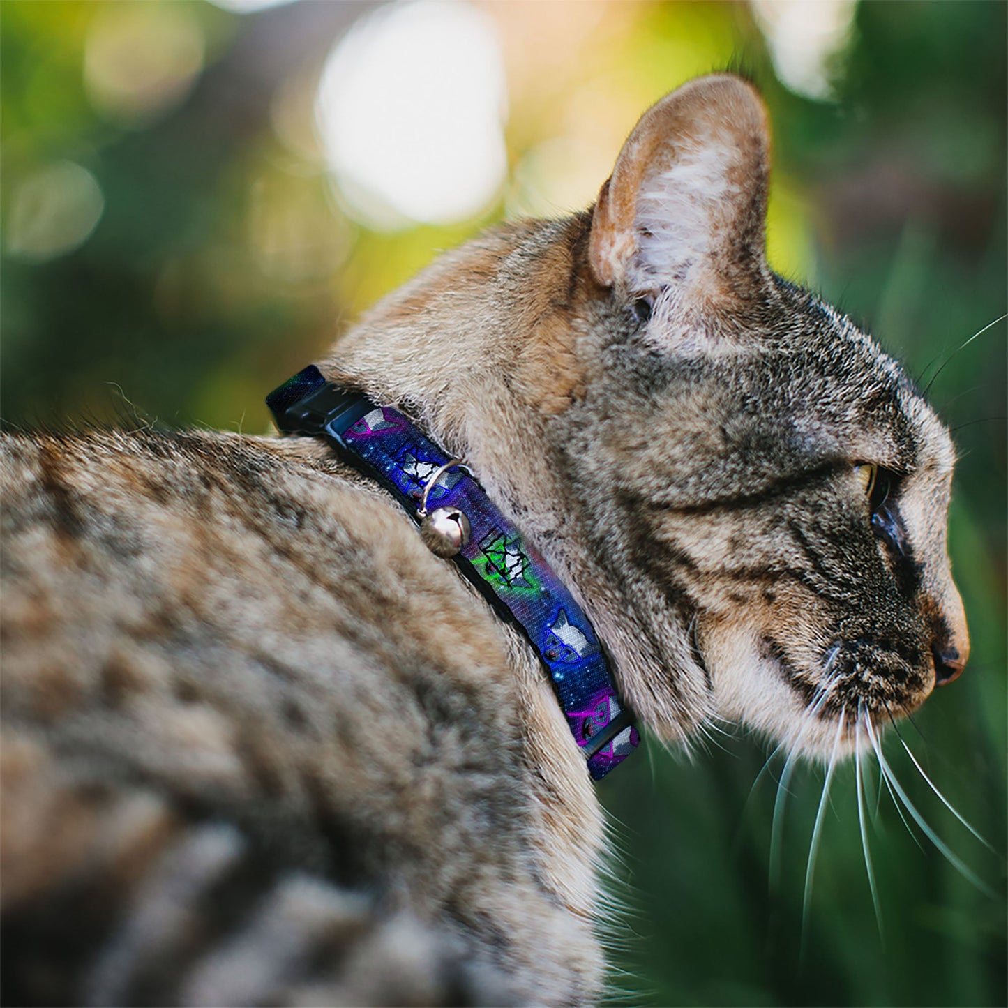 Cat Collar Breakaway - Laser Eye Cats in Space