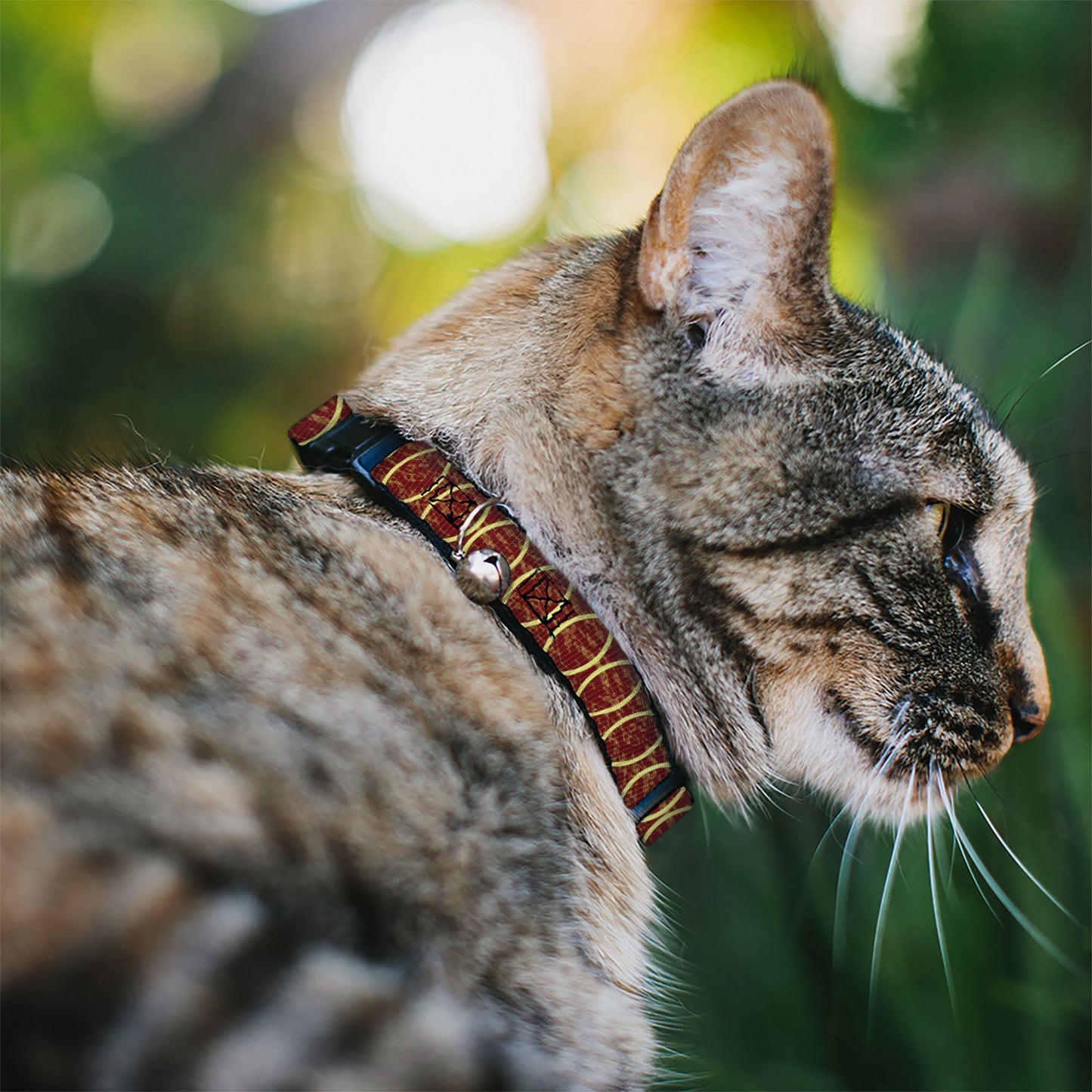 Cat Collar Breakaway - Rings Camo Burnt Orange Yellow