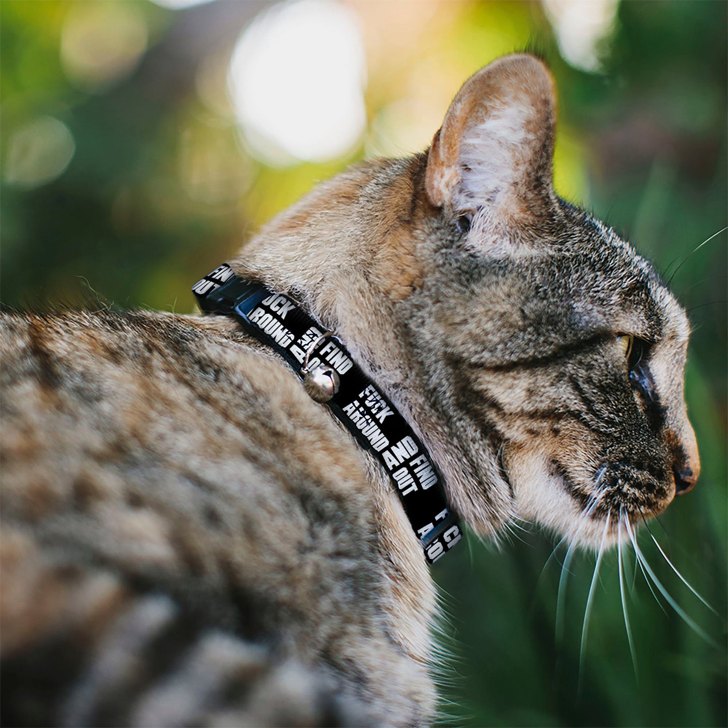 Cat Collar Breakaway - FAFO FUCK AROUND AND FIND OUT Bold Black White