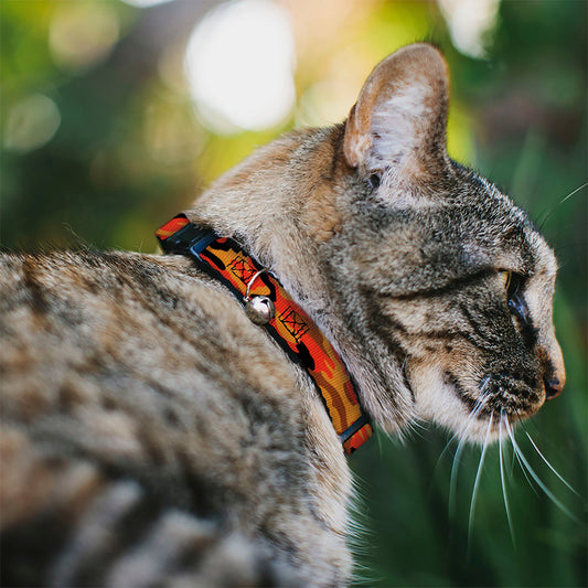 Cat Collar Breakaway - Camo Oranges Black