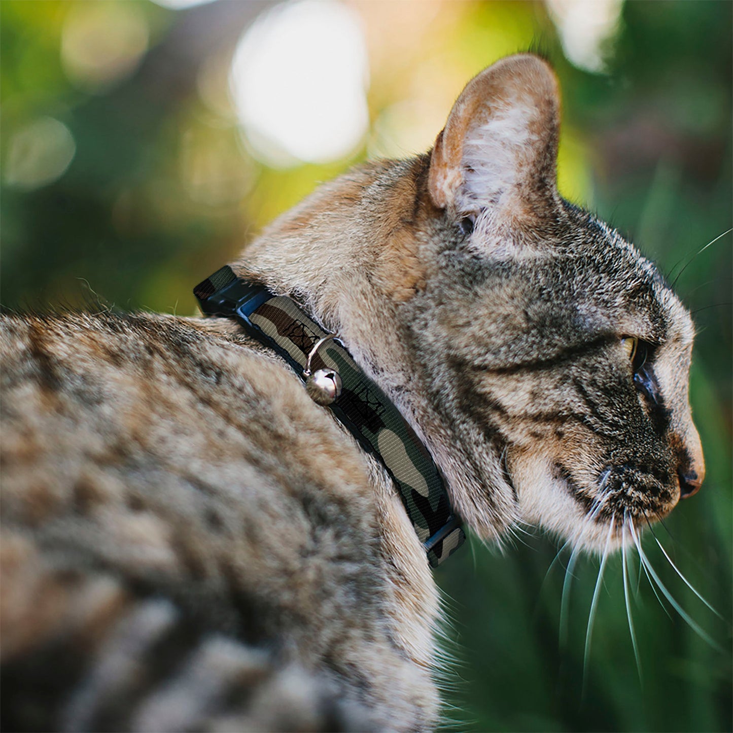 Breakaway Cat Collar with Bell - Camo Olive3
