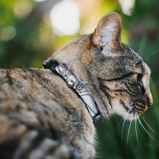 Cat Collar Breakaway - Mossy Oak Country Roots Snowdrift Camo White