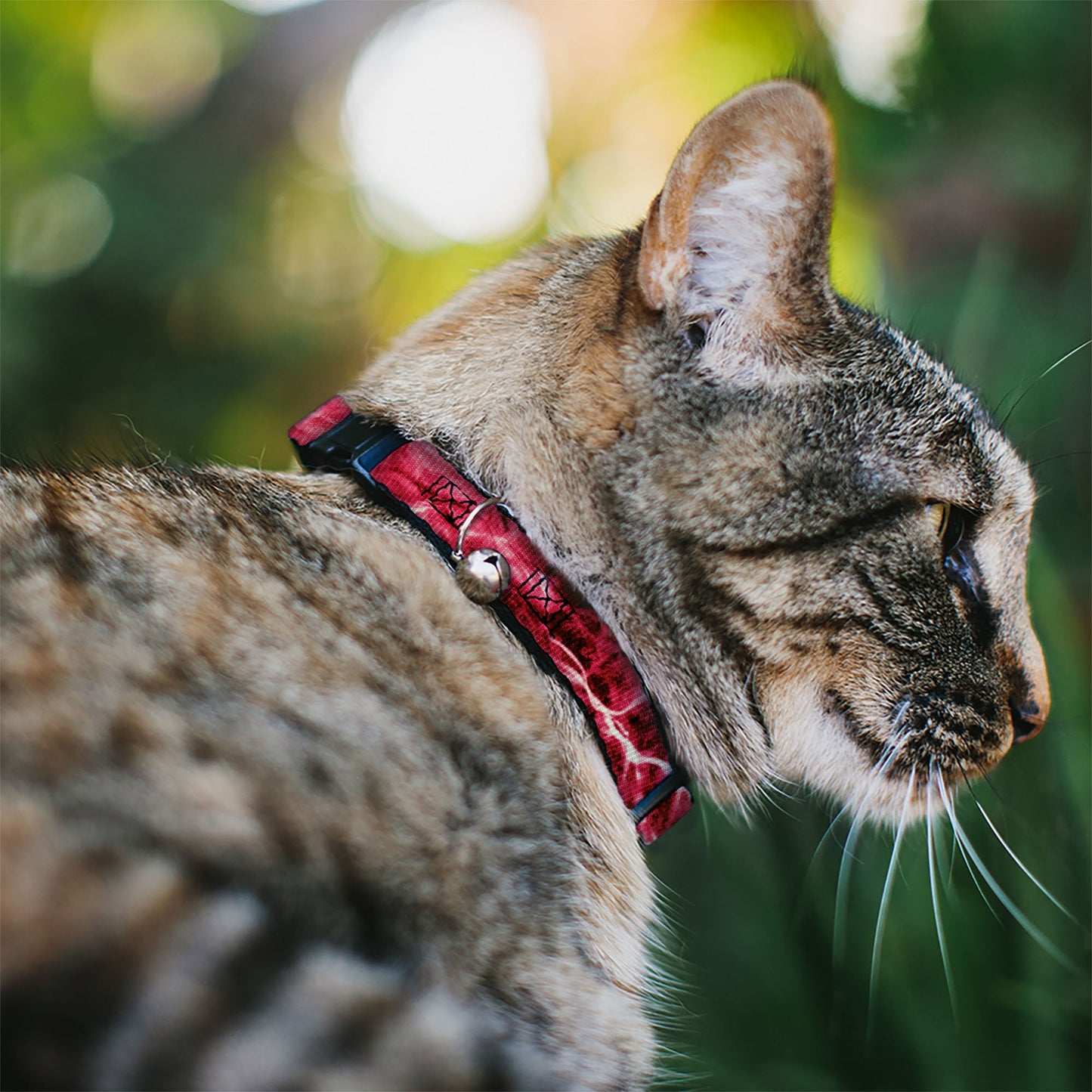 Cat Collar Breakaway - Mossy Oak Elements Anemone Agua Camo Pink