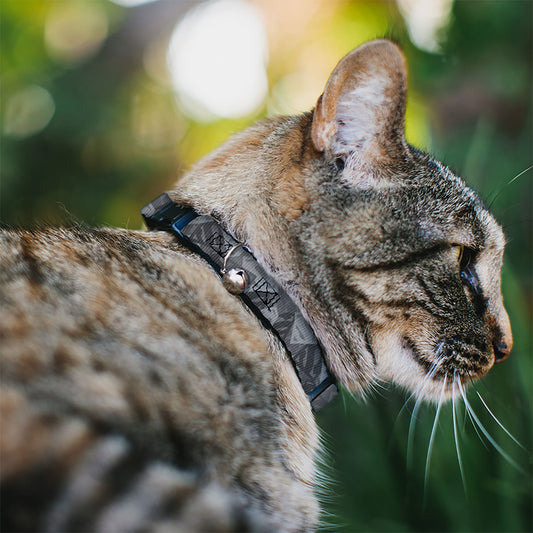 Cat Collar Breakaway - Superman Shield Camouflage Grays