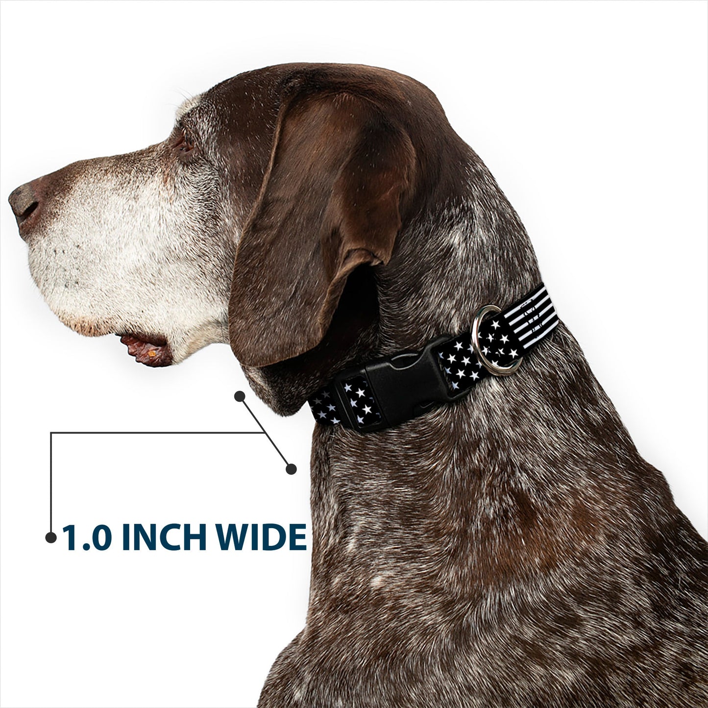 Plastic Clip Collar - Americana Stars & Stripes2 Black/White