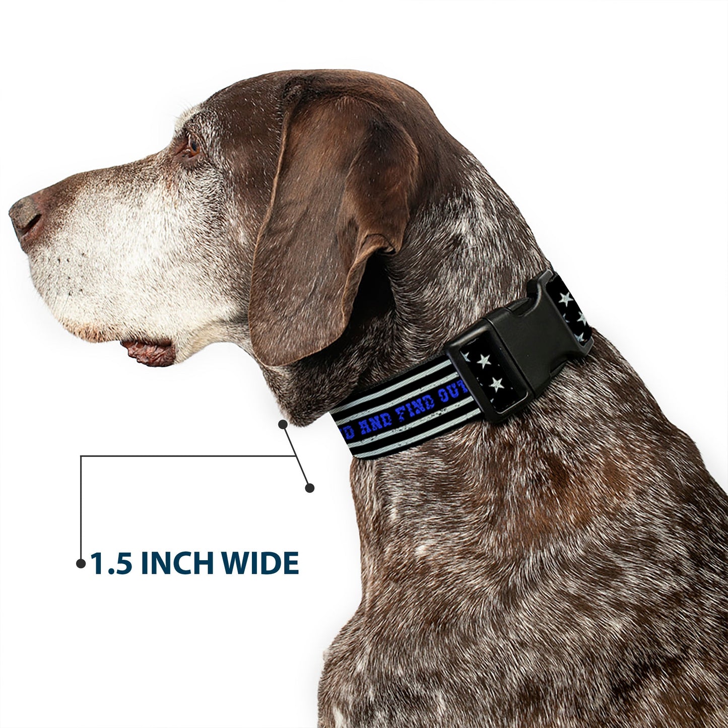 Plastic Clip Collar - FAFO FUCK AROUND AND FIND OUT Thin Blue Line Flag