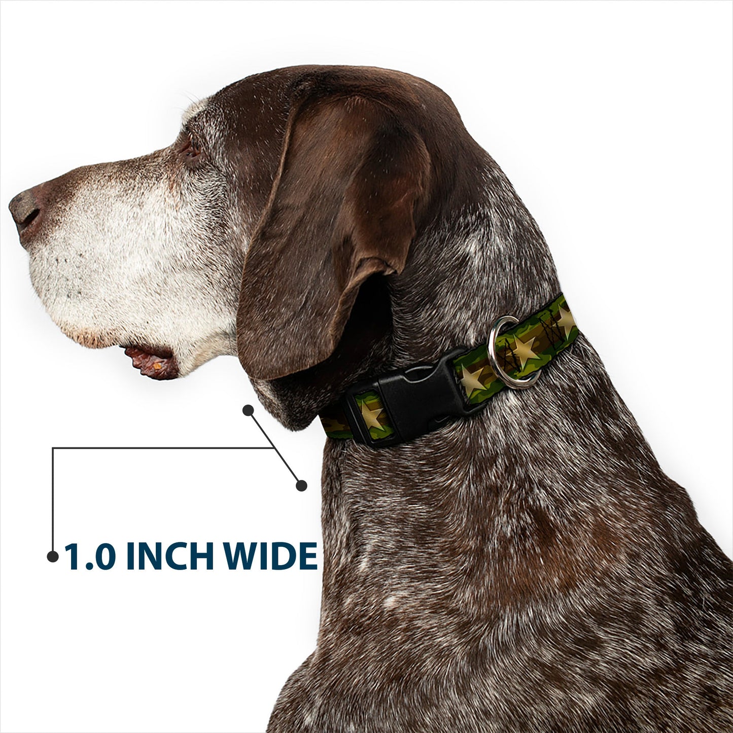 Plastic Clip Collar - Star Camo Olive/Gold