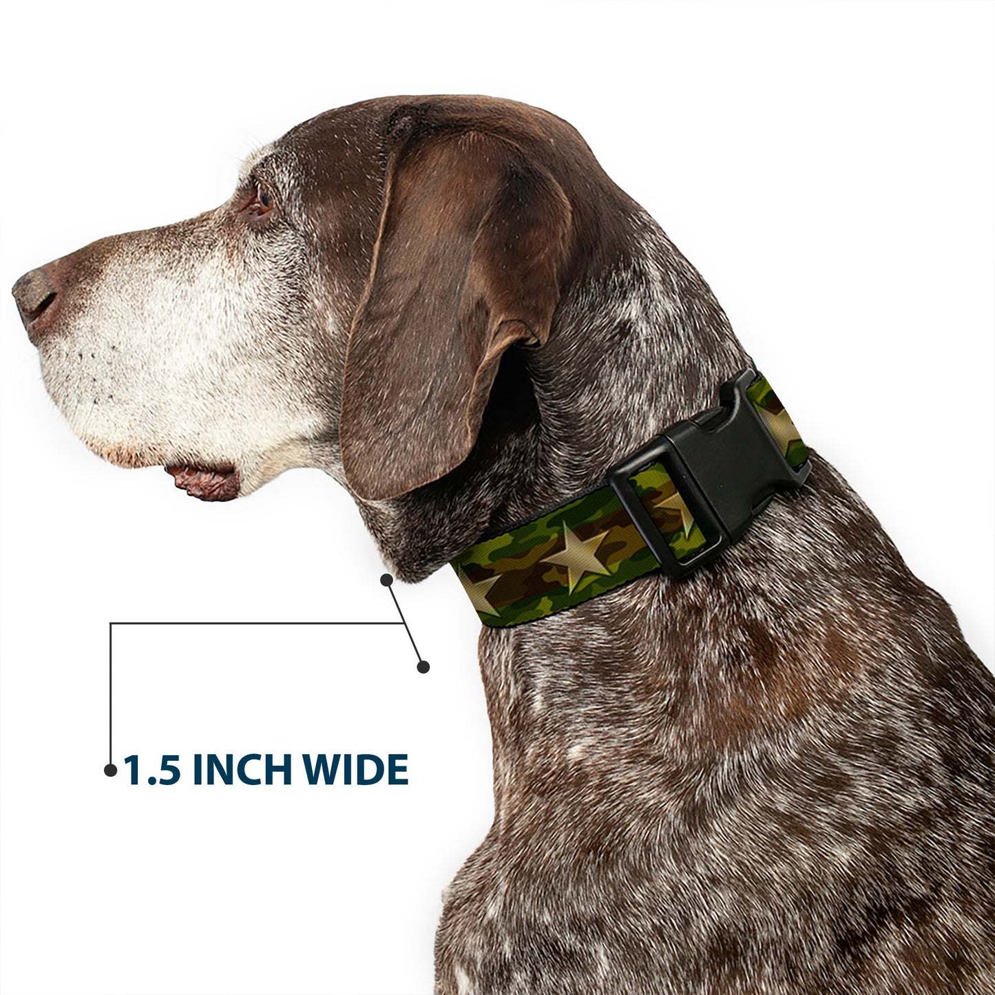 Plastic Clip Collar - Star Camo Olive/Gold