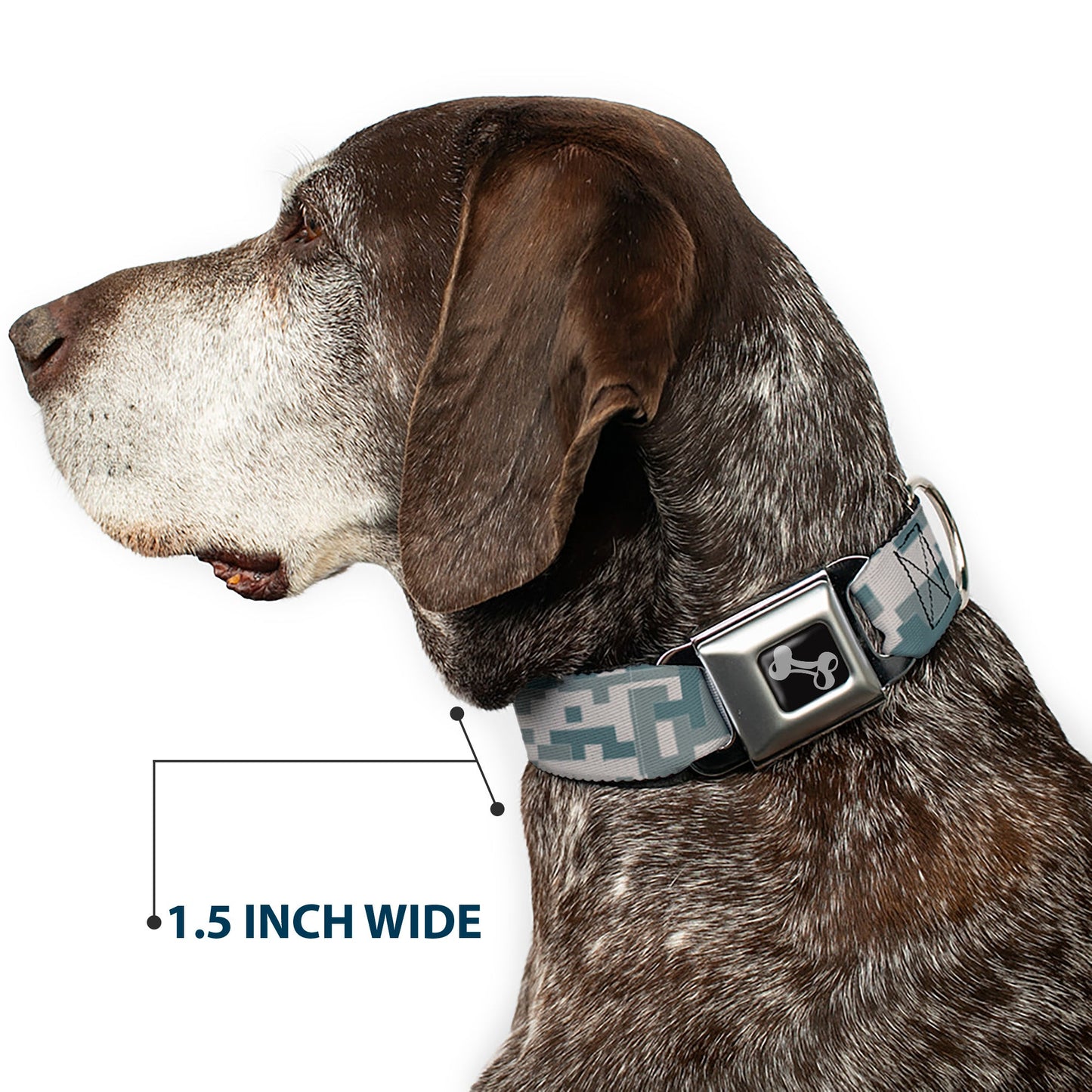 Dog Bone Black/Silver Seatbelt Buckle Collar - Digital Camo2 Grays