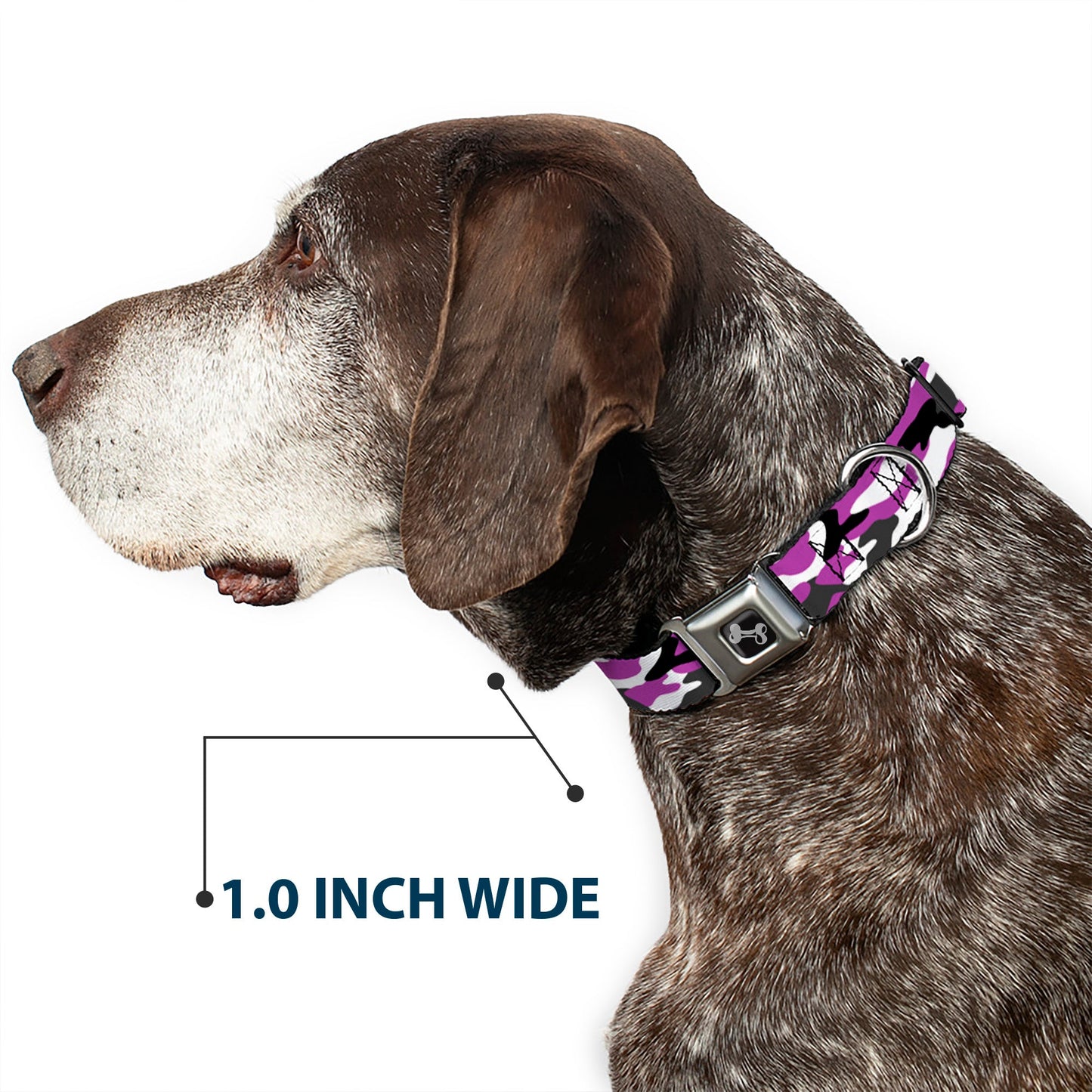 Dog Bone Black/Silver Seatbelt Buckle Collar - Camo Purple/Black/Gray/White