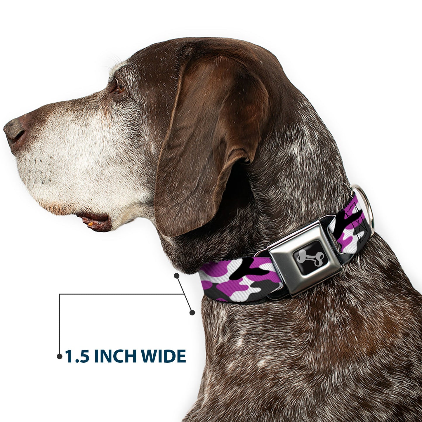 Dog Bone Black/Silver Seatbelt Buckle Collar - Camo Purple/Black/Gray/White