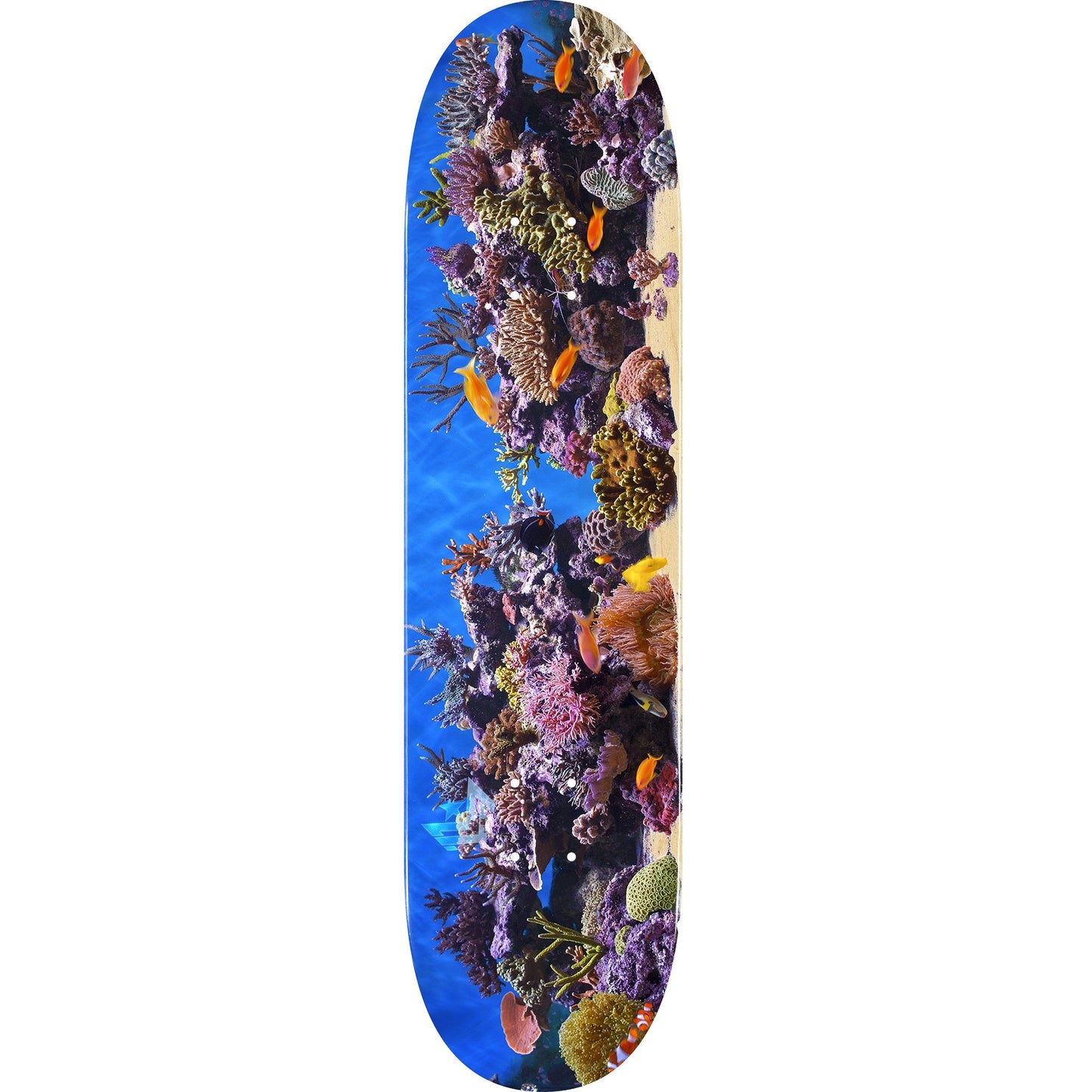 Mini Logo Fish Tank 18 Mini Skateboard Deck 191 - 7.5″