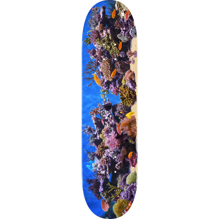 Mini Logo Fish Tank ″18″ Skateboard Deck 243 - 8.25″