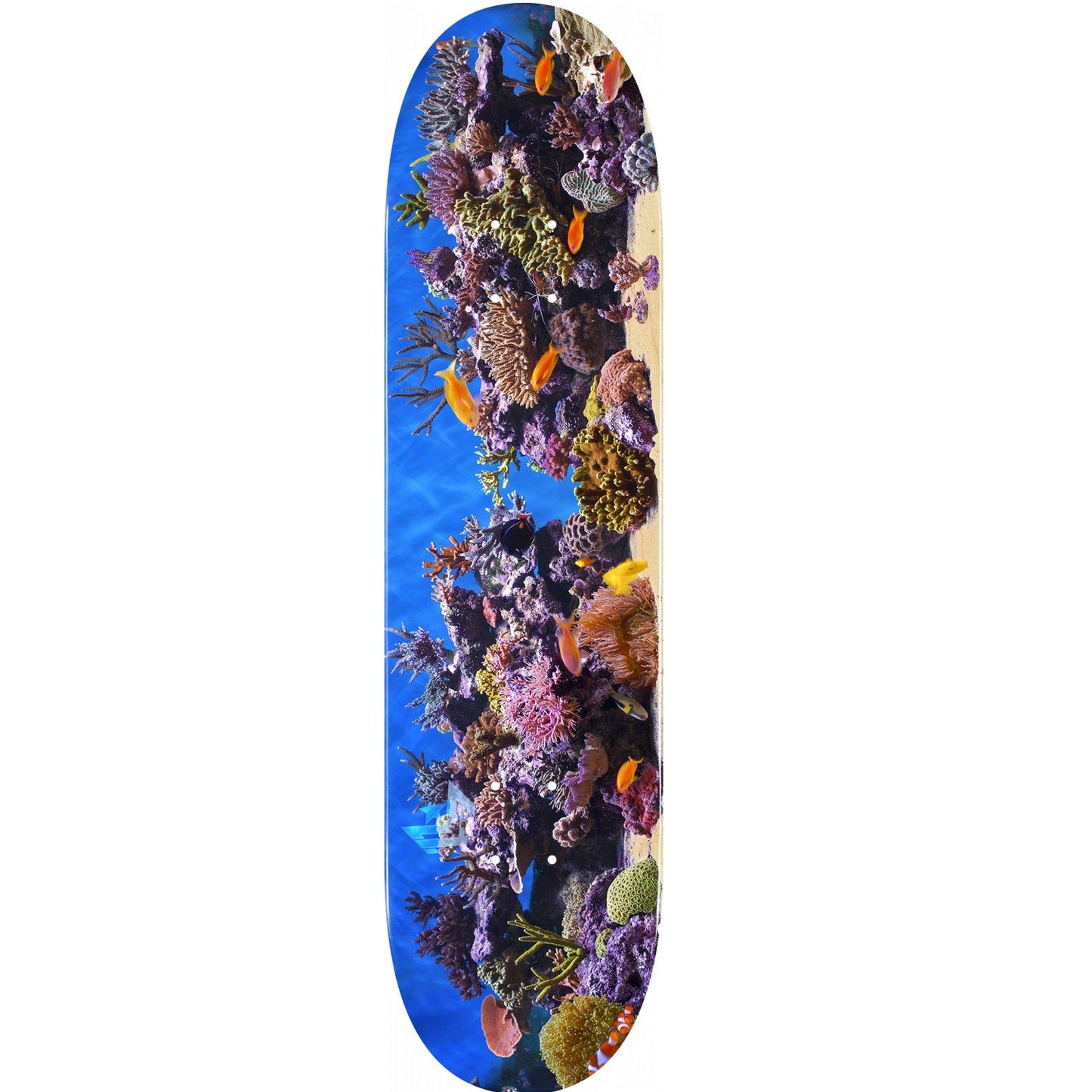 Mini Logo Fish Tank ″18″ Skateboard Deck 291 - 7.75″