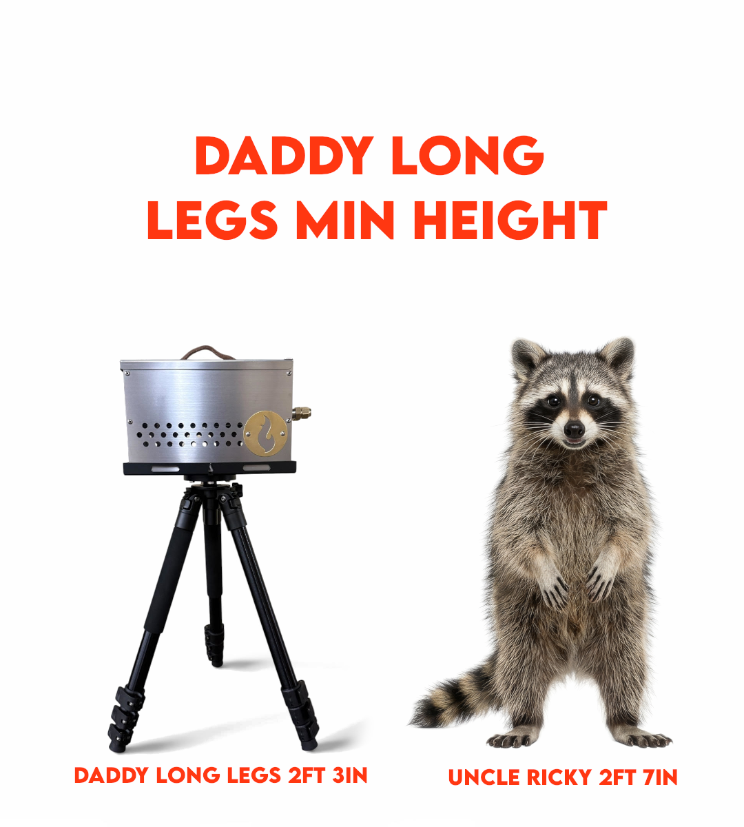 NEW! Daddy Long Legs: Cook and Campfire at Waist High!
