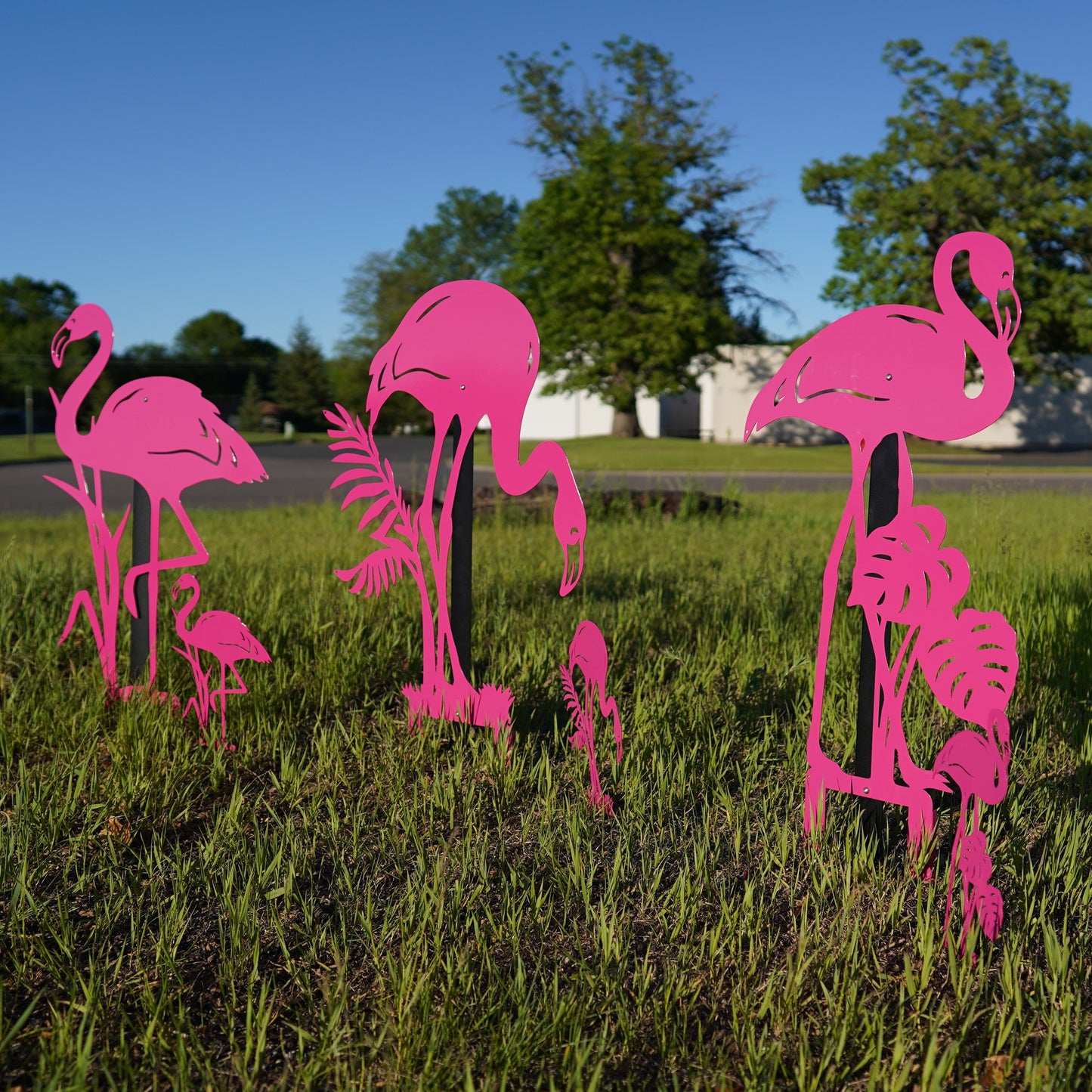 Flamingo Stakes 3 Pack